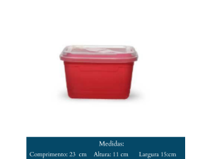 BALDE  21 LITROS   6685