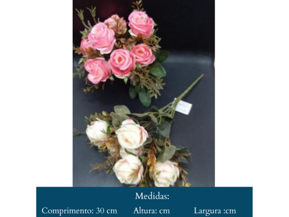 https://www.jdeimports.com.br/image/cache/data/eftr/Img_ftr_rp_243701-580x435.PNG